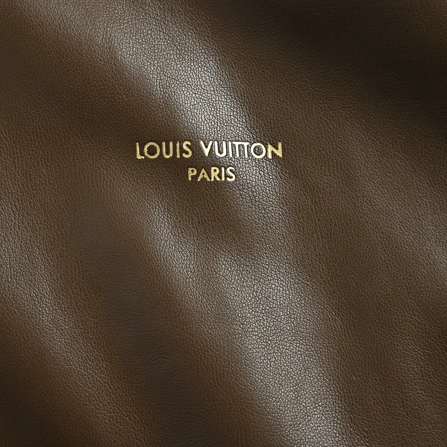 Louis Vuitton/Louis Vuitton checked leather double-sided vest